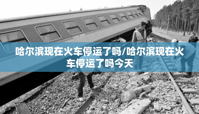 哈尔滨现在火车停运了吗/哈尔滨现在火车停运了吗今天