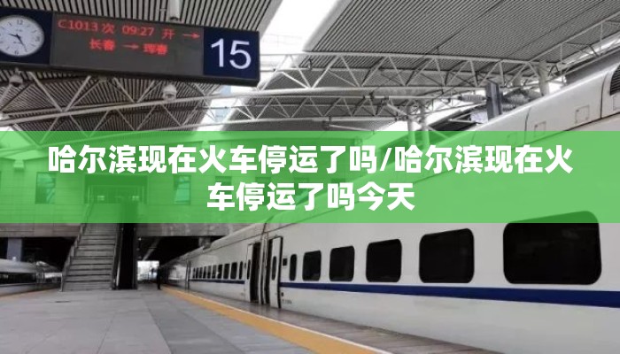 哈尔滨现在火车停运了吗/哈尔滨现在火车停运了吗今天