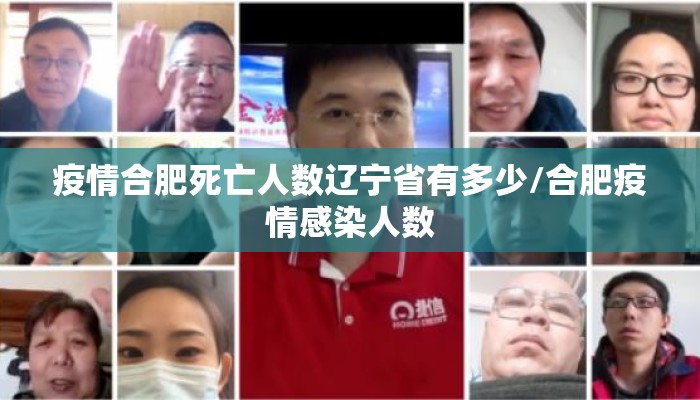疫情合肥死亡人数辽宁省有多少/合肥疫情感染人数