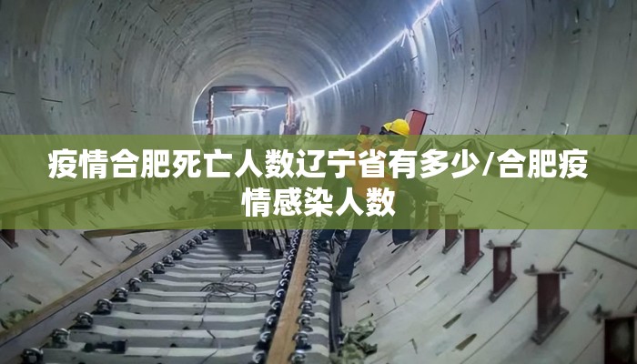 疫情合肥死亡人数辽宁省有多少/合肥疫情感染人数