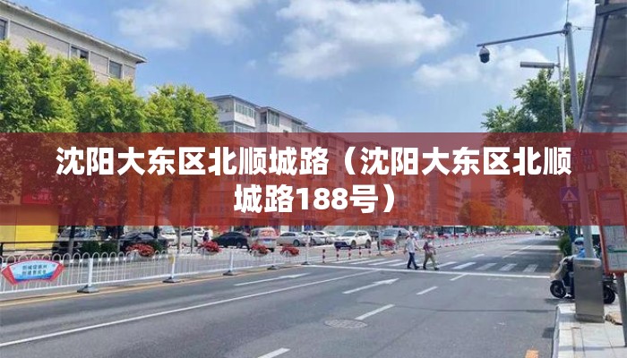 沈阳大东区北顺城路（沈阳大东区北顺城路188号）
