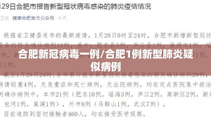 合肥新冠病毒一例/合肥1例新型肺炎疑似病例