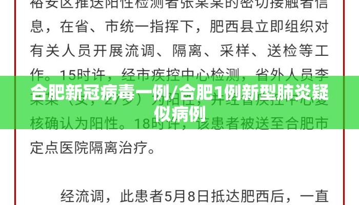 合肥新冠病毒一例/合肥1例新型肺炎疑似病例