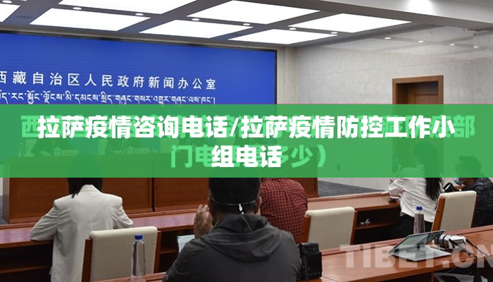 拉萨疫情咨询电话/拉萨疫情防控工作小组电话