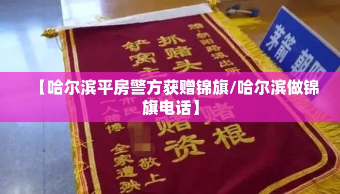 【哈尔滨平房警方获赠锦旗/哈尔滨做锦旗电话】