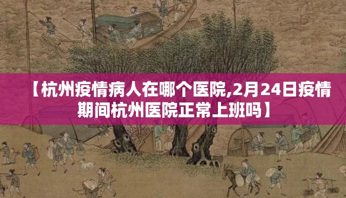 【杭州疫情病人在哪个医院,2月24日疫情期间杭州医院正常上班吗】