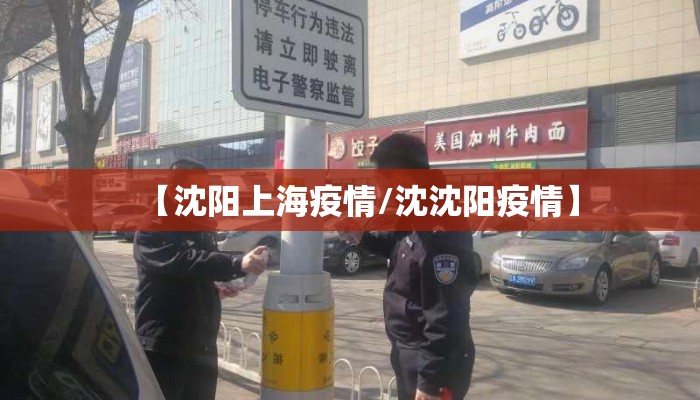 【沈阳上海疫情/沈沈阳疫情】