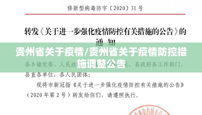 贵州省关于疫情/贵州省关于疫情防控措施调整公告