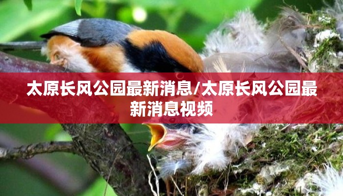 太原长风公园最新消息/太原长风公园最新消息视频