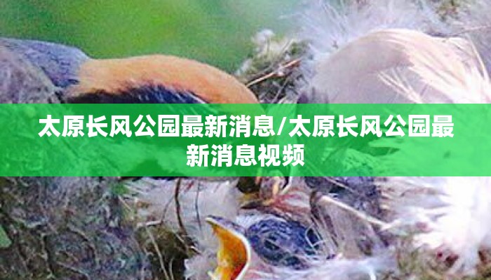 太原长风公园最新消息/太原长风公园最新消息视频