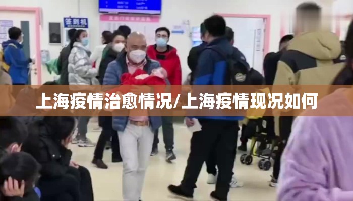 上海疫情治愈情况/上海疫情现况如何