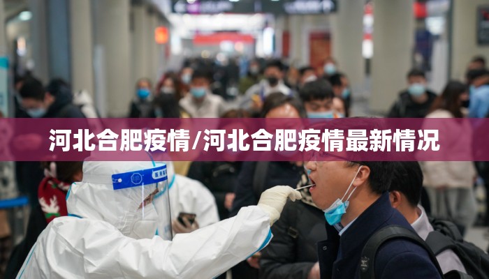 河北合肥疫情/河北合肥疫情最新情况