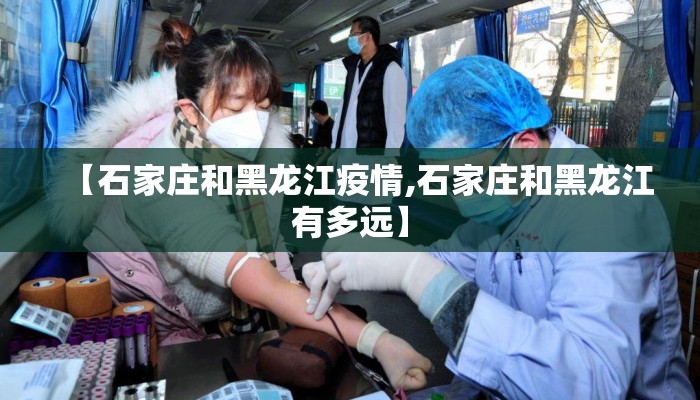 【石家庄和黑龙江疫情,石家庄和黑龙江有多远】