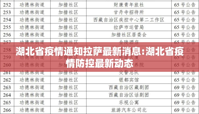 湖北省疫情通知拉萨最新消息:湖北省疫情防控最新动态