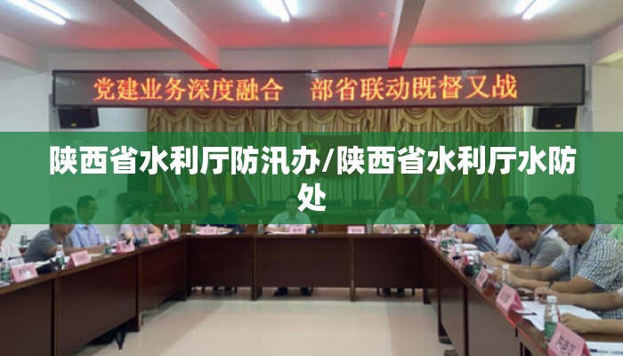 陕西省水利厅防汛办/陕西省水利厅水防处