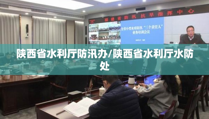 陕西省水利厅防汛办/陕西省水利厅水防处