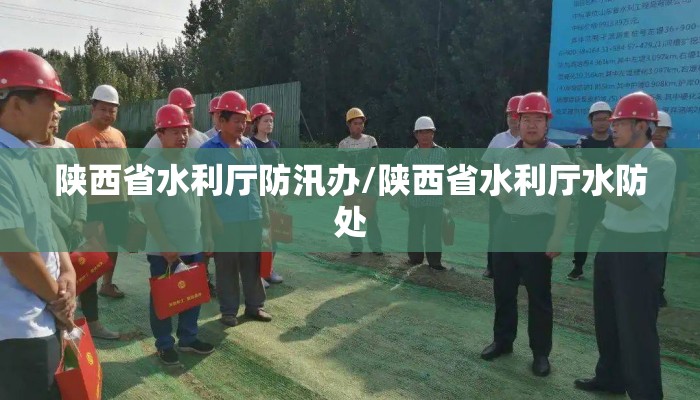 陕西省水利厅防汛办/陕西省水利厅水防处