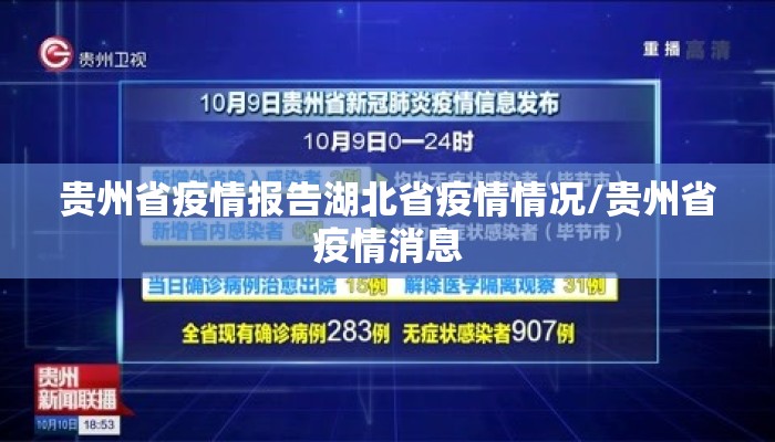 贵州省疫情报告湖北省疫情情况/贵州省疫情消息