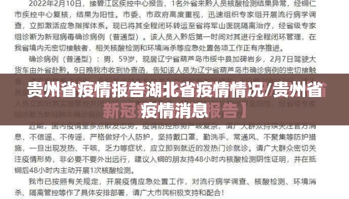 贵州省疫情报告湖北省疫情情况/贵州省疫情消息