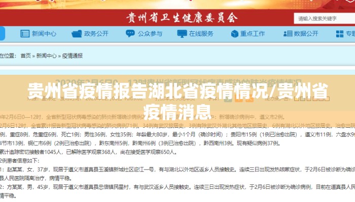 贵州省疫情报告湖北省疫情情况/贵州省疫情消息