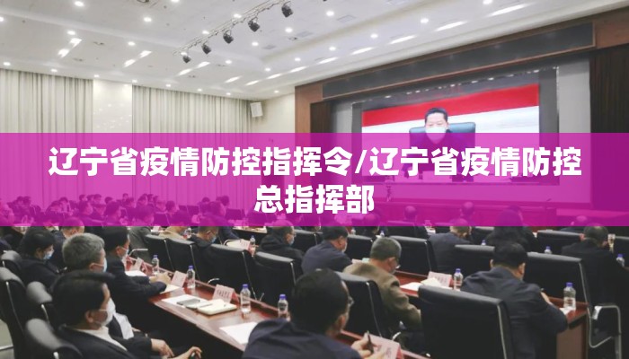 辽宁省疫情防控指挥令/辽宁省疫情防控总指挥部
