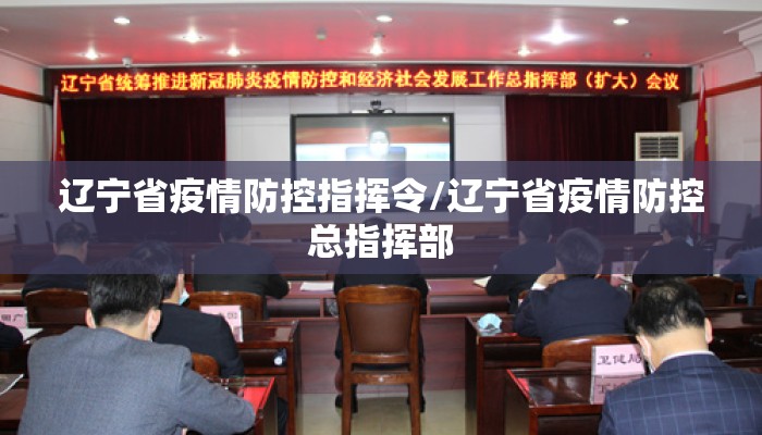 辽宁省疫情防控指挥令/辽宁省疫情防控总指挥部