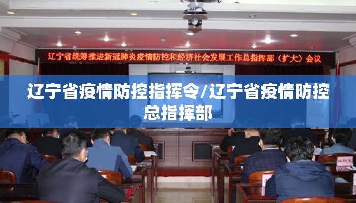 辽宁省疫情防控指挥令/辽宁省疫情防控总指挥部