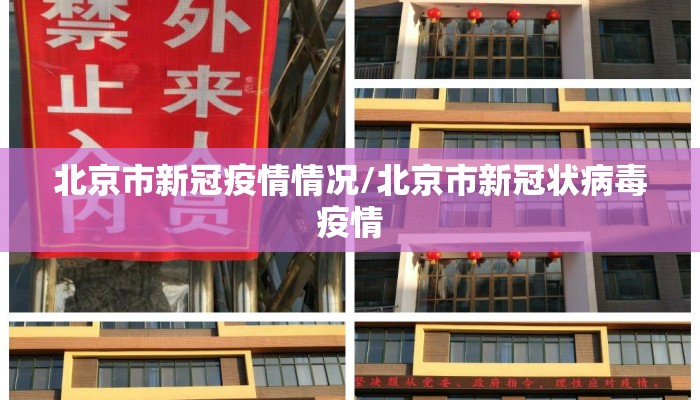 北京市新冠疫情情况/北京市新冠状病毒疫情