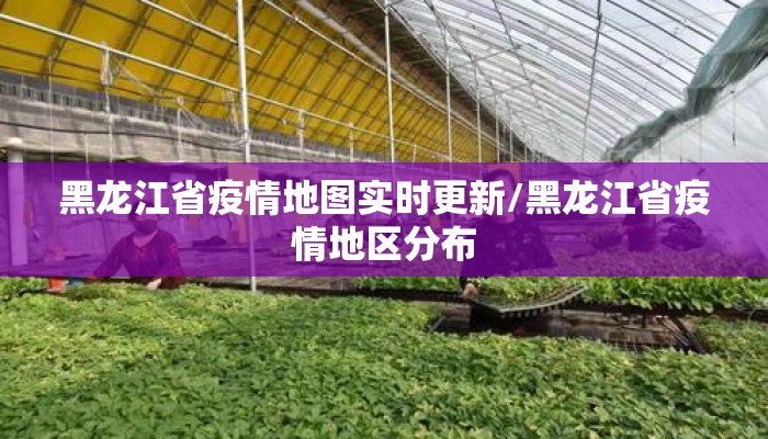 黑龙江省疫情地图实时更新/黑龙江省疫情地区分布