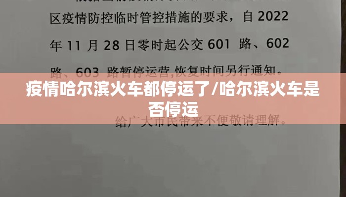 疫情哈尔滨火车都停运了/哈尔滨火车是否停运 疫情哈尔滨火车都停运了/哈尔滨火车是否停运