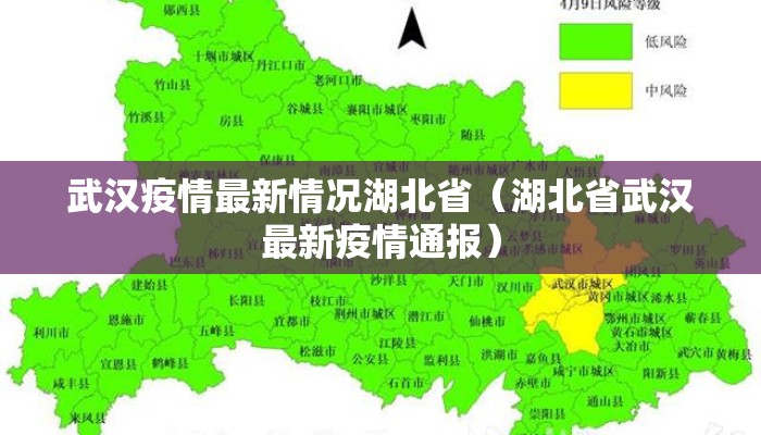 武汉疫情最新情况湖北省（湖北省武汉最新疫情通报）