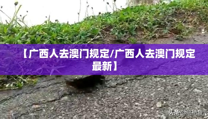 【广西人去澳门规定/广西人去澳门规定最新】
