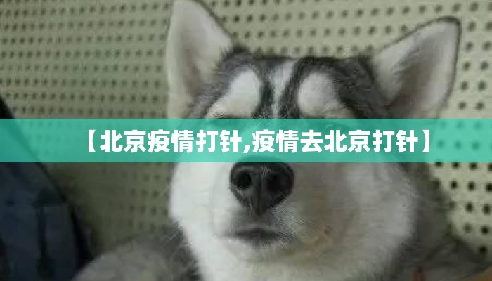 【北京疫情打针,疫情去北京打针】 【北京疫情打针,疫情去北京打针】