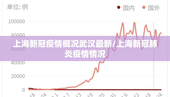 上海新冠疫情概况武汉最新/上海新冠肺炎疫情情况