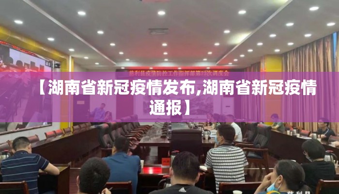 【湖南省新冠疫情发布,湖南省新冠疫情通报】