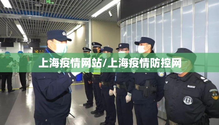 上海疫情网站/上海疫情防控网