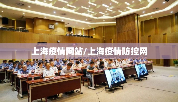 上海疫情网站/上海疫情防控网