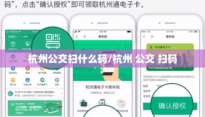杭州公交扫什么码/杭州 公交 扫码