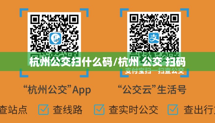 杭州公交扫什么码/杭州 公交 扫码