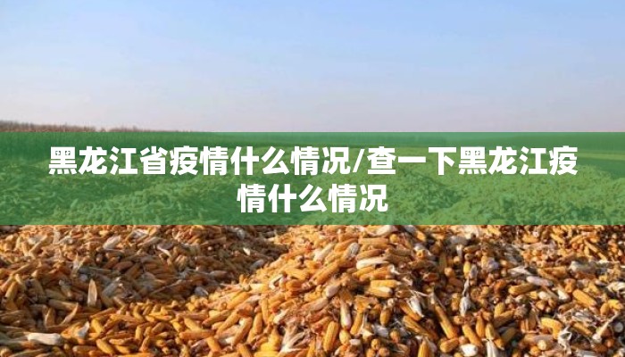 黑龙江省疫情什么情况/查一下黑龙江疫情什么情况