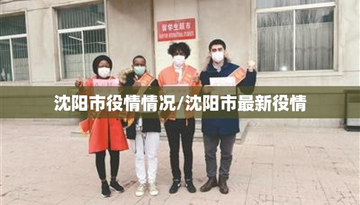 沈阳市役情情况/沈阳市最新役情