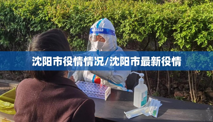 沈阳市役情情况/沈阳市最新役情