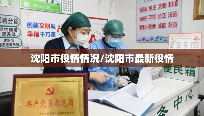 沈阳市役情情况/沈阳市最新役情