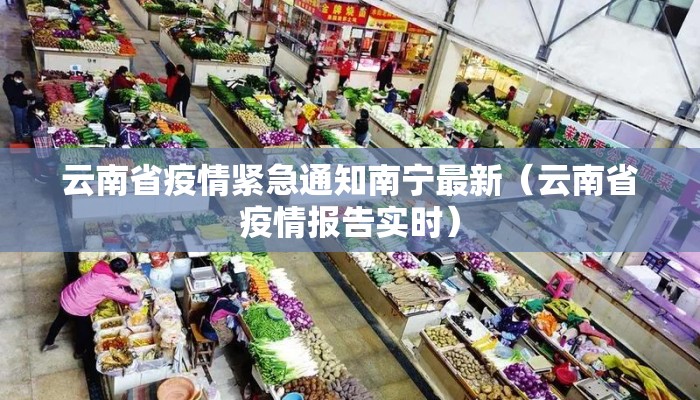 云南省疫情紧急通知南宁最新（云南省疫情报告实时）