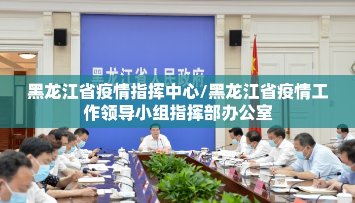黑龙江省疫情指挥中心/黑龙江省疫情工作领导小组指挥部办公室