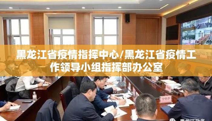 黑龙江省疫情指挥中心/黑龙江省疫情工作领导小组指挥部办公室