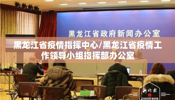 黑龙江省疫情指挥中心/黑龙江省疫情工作领导小组指挥部办公室