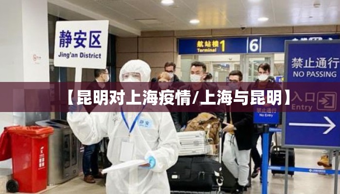 【昆明对上海疫情/上海与昆明】