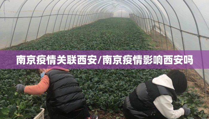 南京疫情关联西安/南京疫情影响西安吗 南京疫情关联西安/南京疫情影响西安吗
