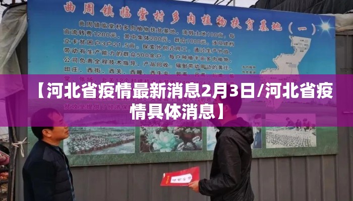 【河北省疫情最新消息2月3日/河北省疫情具体消息】